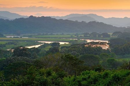 Carara National Park and Crocodile River Cruise