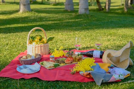 Picnic on the lawn -aromatic garden and winery