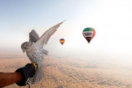  Enjoy Views Of Dubai Beautiful Desert By Hot Air Balloon From Dubai & Falcon 