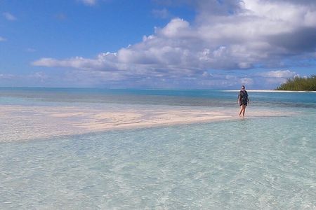 Group Reef, Beach and Sandbar Tour from Providenciales