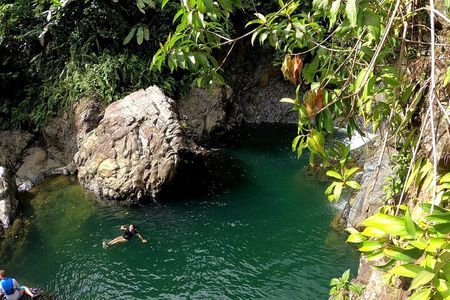 Rainforest Nature Walk & Luquillo Beach Combo