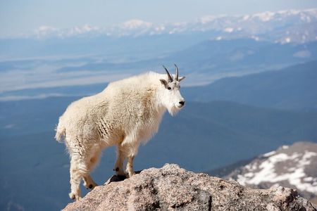 Mount Blue Sky Alpine Summit & Red Rocks Tour from Denver