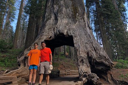 Yosemite Valley Discovery Walk