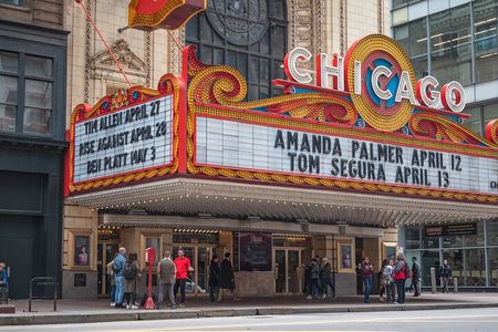 Chicago Architecture & Highlights with Local Treat
