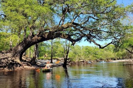 Kayak River Tour to a Private Island
