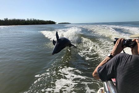 Everglades Day Safari from Ft Lauderdale