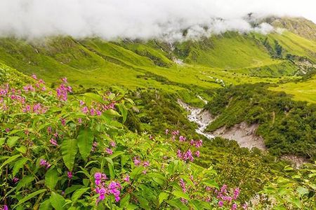 Valley of Flowers and Hemkund Trek- Banbanjara