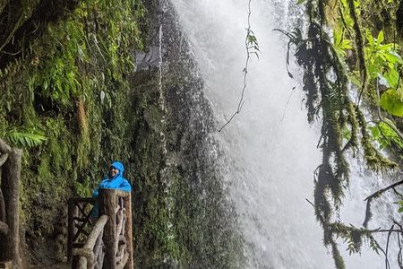 Poas Volcano and La Paz Waterfall Gardens Private Tour