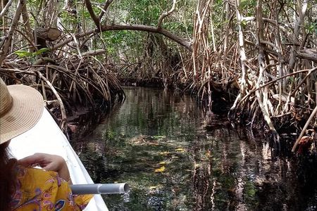 kayak through mangroves to secret beach
