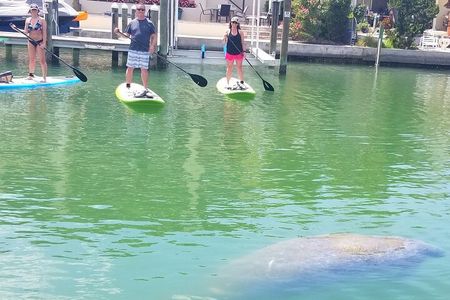 Hidden Beach and Mangroves Kayak Tour (Siesta Key) 