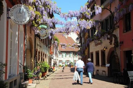 France, Germany and Switzerland Full Day Tour from Colmar