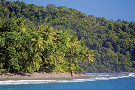 Sirena station Corcovado National Park From Drake Bay