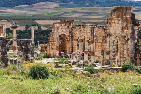 private Day trip from Fez to Volubilis-Meknes (without shopping)
