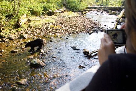 Wilderness and Wildlife Hiking Tour - 3hr Hike
