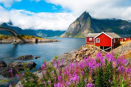 South Lofoten Highlights Photo Tour (Summer)