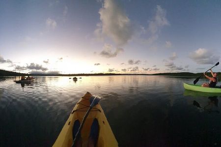 Fajardo Bioluminescent Bay Night Kayak Adventure from San Juan