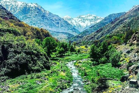 Atlas Mountains Tour from Marrakesh with a Guide 