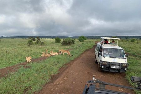 Nairobi national park Elephant orphanage and giraffe center tour.