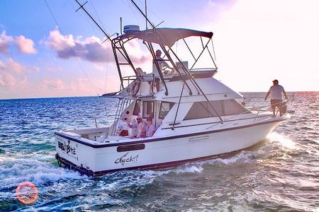 6-Hour Shared Fishing Tour 