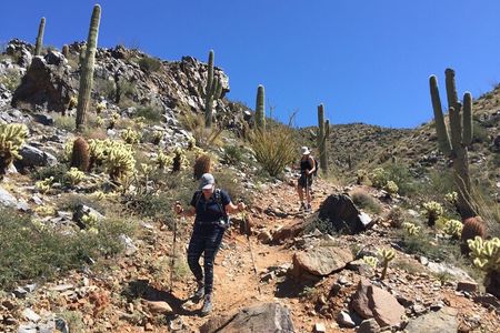 Scottsdale Desert Classic Guided Hiking Adventure