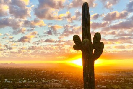 Hiking Adventure in the Sonoran Desert