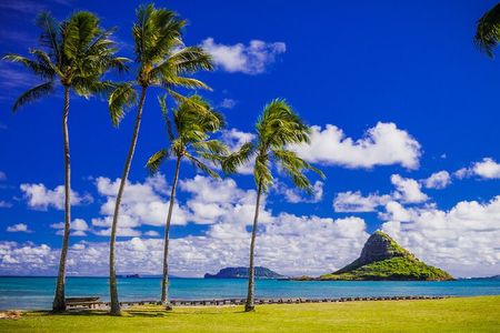 Grand Circle Island Tour