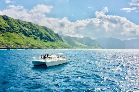 Oahu: Swim with Dolphins on the West Coast