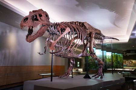  Field Museum of Natural History Early Access Ticket 
