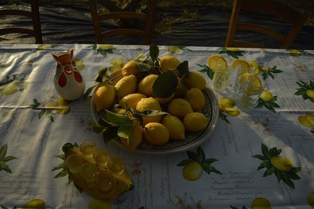 Discovery Tour of Sorrento Lemon in Massa Lubrense
