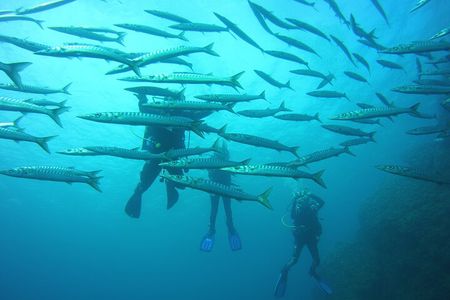 Baptism in the Northern Marine Reserve of Menorca