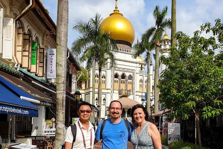 Singapore Layover Tour with a Local: 100% Personalized & Private 