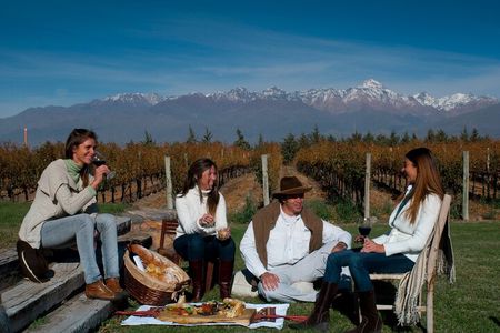 Malbec & Mountain Uco Valley Private Wine Tour with Gourmet Lunch