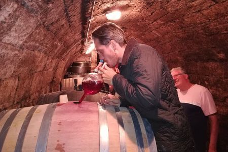 Countryside Half-day Wine Tour near Budapest with Meal and Pickup