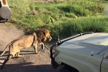 4-Day Safari to Tarangire, Serengeti and Ngorongoro from Arusha - Join a group
