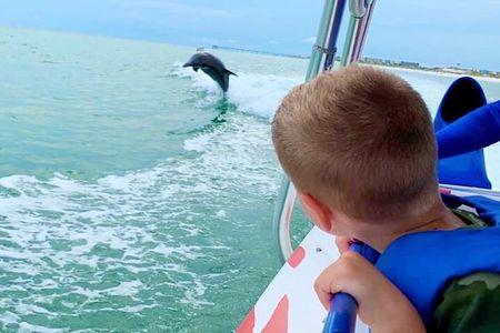 Dolphin-Watching Speedboat Cruise in Destin Harbor