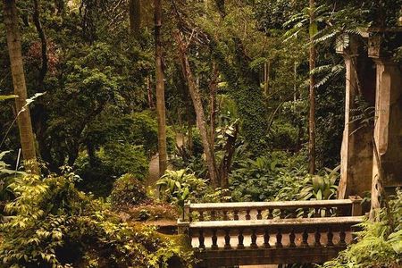 Guided Tour in Tijuca Forest with transfer