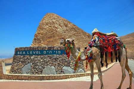 Masada & Dead Sea tour from Tel Aviv - ALL ENTRANCE FEES INCLUDED