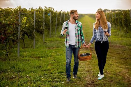 Private Wine Tour in Niagara-on-the-Lake w/ cheese & charcuterie