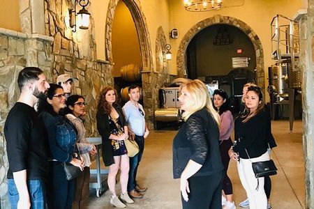 Virginia Wineries Guided Tour & Tastings from Washington DC