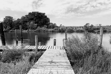 Historical Haunted Bayou Cruise