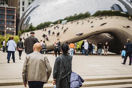 Best of Chicago Tour with Skydeck + Shoreline Cruise