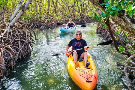 Mangroves, Manatees & a Hidden Beach Kayak Tour (Siesta Key)