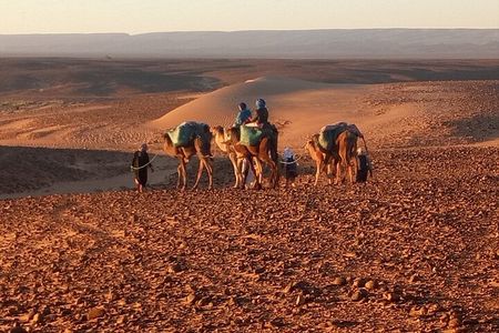 4 Day Private Desert Trek from M'Hamid to Chegaga