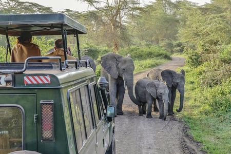 3 Days Serengeti Park & Ngorongoro Crater Adventure Safari