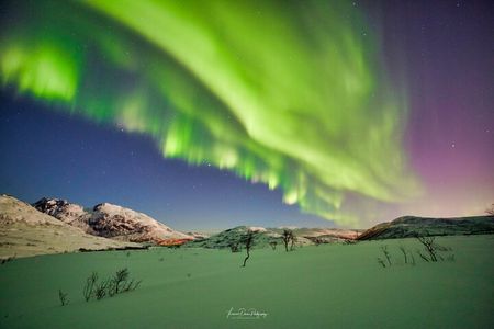 Minivan Northern Lights excursion (8 guests per minivan)