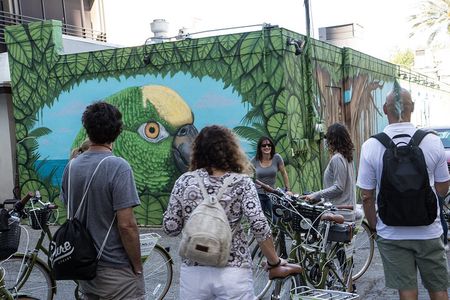 St Pete Awesome Mural Biking Tour 
