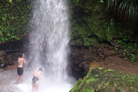Sulphur Springs Mud Bath and Toraille Waterfall Tour with Creole Lunch