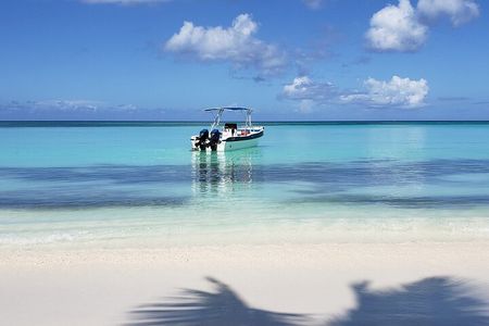Saona Island Full Day Tour