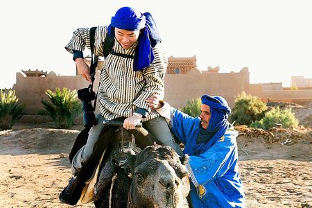 Full-Day Marrakesh Guided Tour from Casablanca with Camel Ride