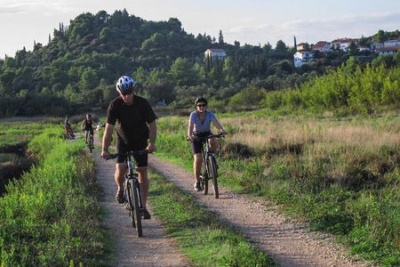 Half-Day Bike Tour in Lumbarda with Wine Tasting